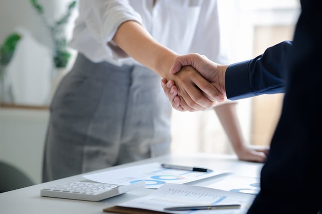 Professionals shake hand